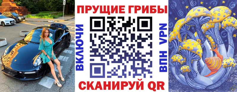 как найти закладки Дно Галлюциногенные грибы мухоморы